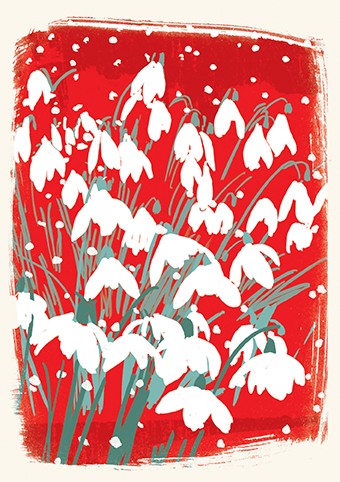 'Snowdrops at Christmas' by Jenny Frean (CHRISTMAS) (xaps12) 