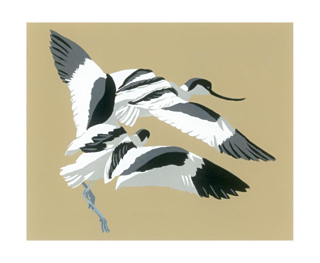 'Avocet Chase' by John Hatton (A863) *