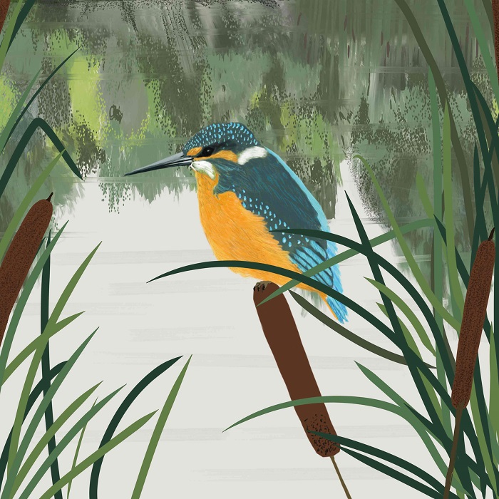 'Kingfisher and Bullrushes' by Carla Vize-Martin (Q162)