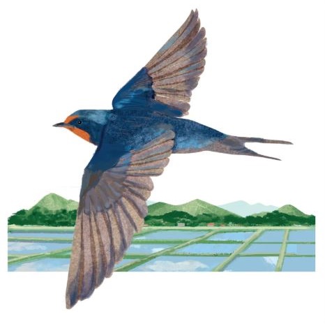 'Flying Swallow' by Kyoko Nemoto (T135) NEW