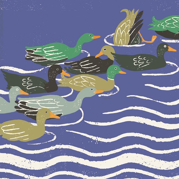 'Quack!' by Liza Saunders (C623)
