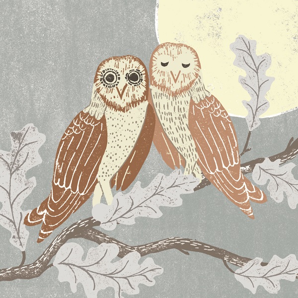 'Night Owls' by Liza Saunders (C624) d Was 3.15, now 1.85