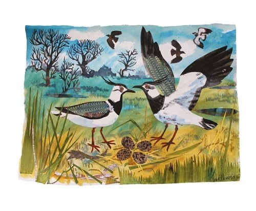 'Lapwings Nest' by Mark Hearld (A660) *