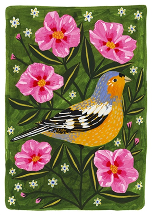 'Chaffinch' by Lee Foster-Wilson (T117) NEW
