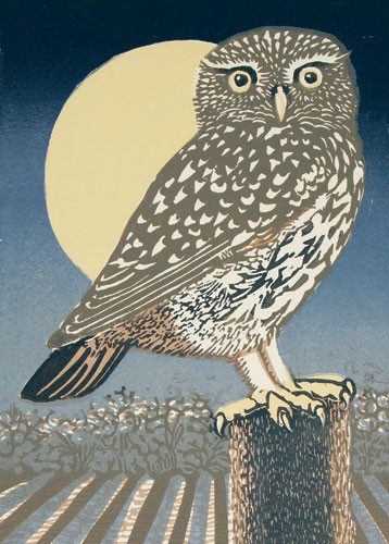 'Little Owl, Full Moon' by Linda Richardson (B333) 
