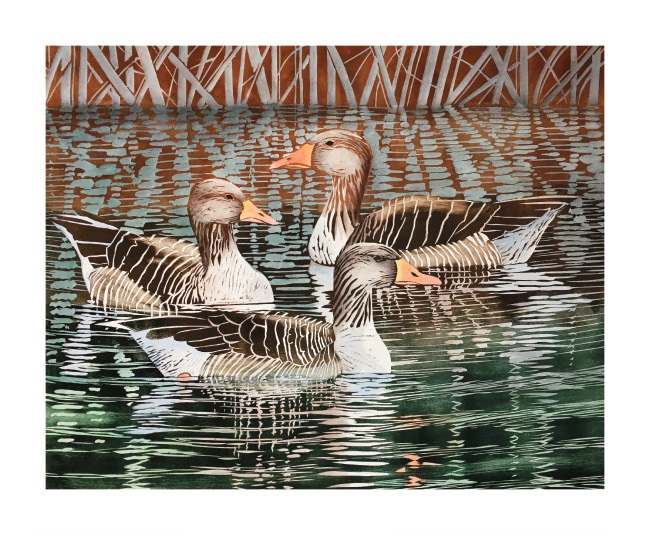 'Greylags' by Lisa Hooper (A855) *