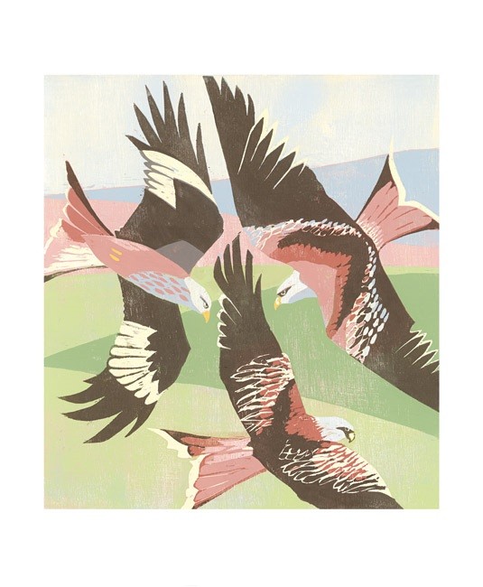 'Red Kites, Laurieston' by Lisa Hooper (A746) *