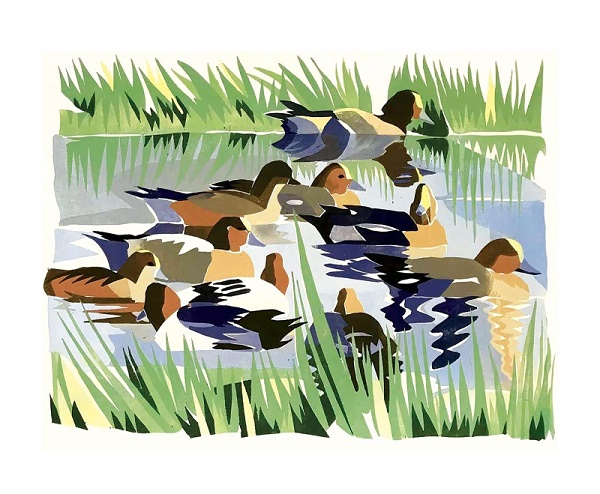 'Wigeon' by Lisa Hooper (A898) *