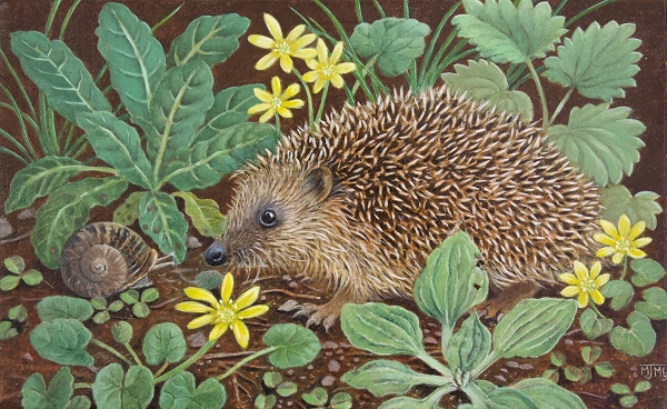 'Little Hog' by Marcelle Milo-Gray (B558) d