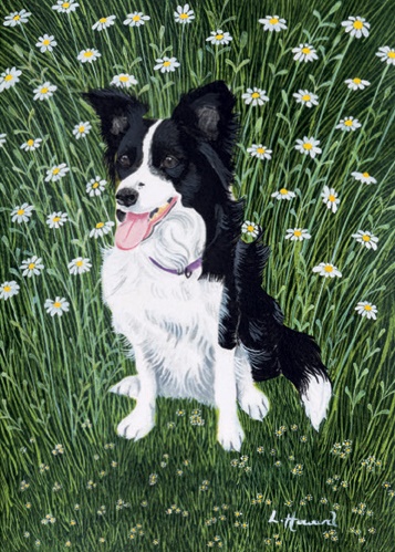 'Daisy in the Daisies' by Lucy Almey Bird (B480)