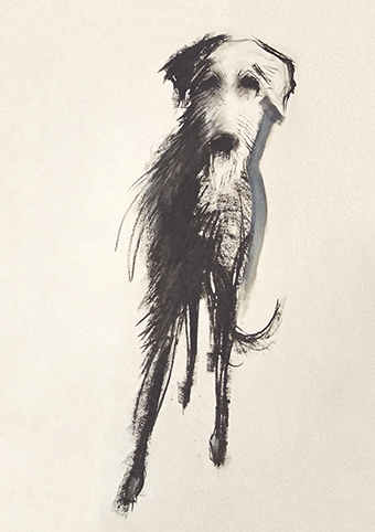 'Lurcher' by Sally Muir (C493) *