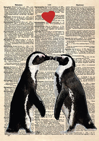 'The Penguin Lovers' by Matt Dinniman (VALENTINE'S DAY) (0V16)