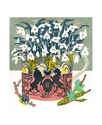 The Matt Underwood Collection