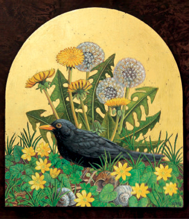'Mr Blackbird' by Marcelle Milo-Gray (B530) d