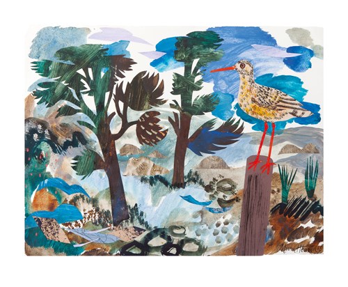 'Redshank' by Mark Hearld (A761) 