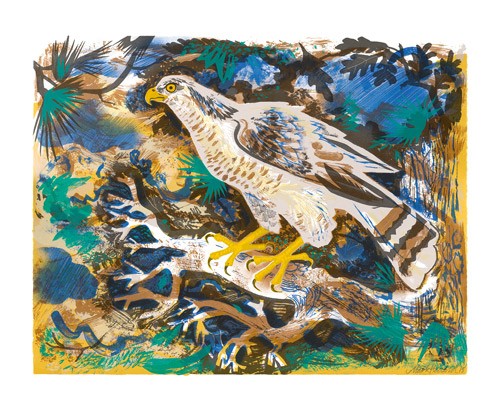 'Hawk Eye' by Mark Hearld (A627) 