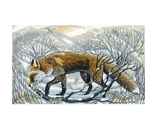 'Winter Fox' by Martin Truefitt-Baker (A938w) * 