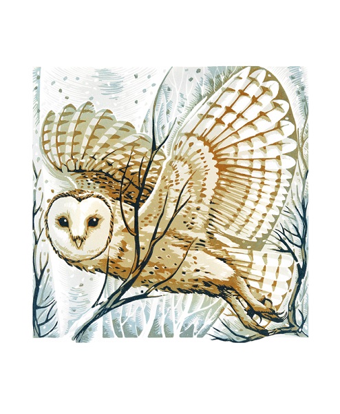 'Barn Owl, Winter Branches' by Martin Truefitt-Baker (A886w) * 