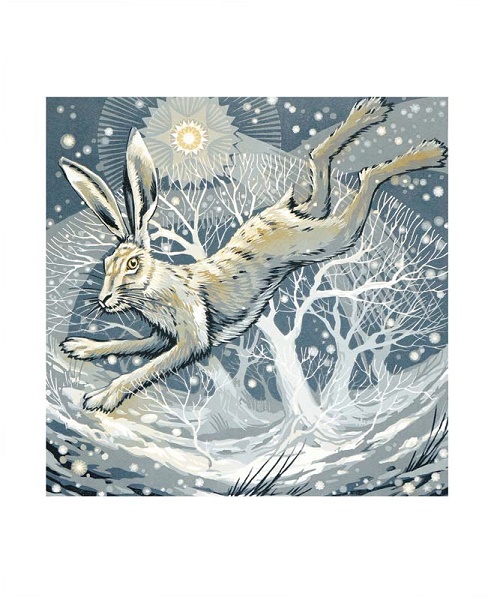 'Frosty Hare' by Martin Truefitt-Baker (A984w) 