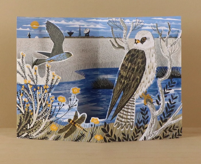 'Goonhilly Red-Footed Falcons' die-cut box card by Matt Johnsnon (AP070) NEW