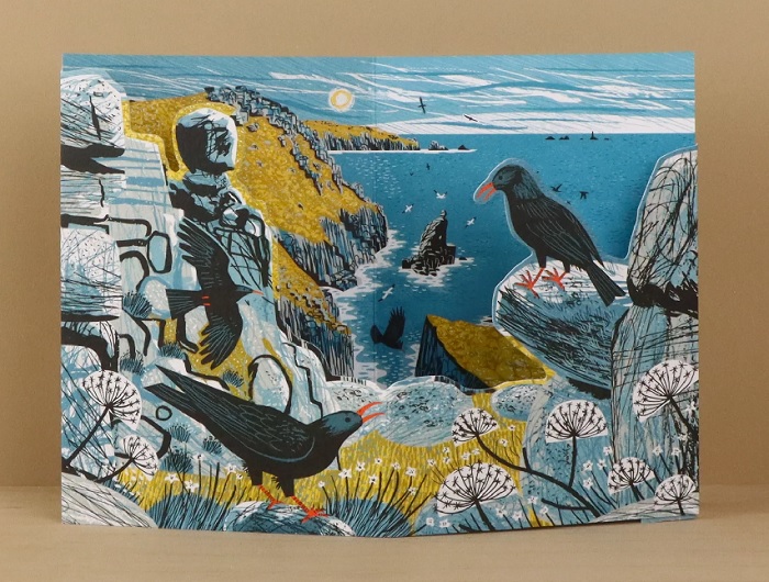 'Mayon Cliff Choughs' die-cut box card by Matt Johnsnon (AP071) NEW 