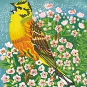 Art Card of the Day
