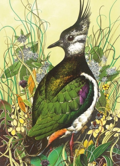 Lapwing 1973 by Michael Warren (V196) The Tate Collection