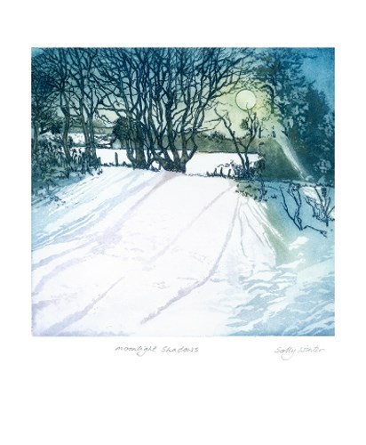 'Moonlight Shadows' by Sally Winter (A516w)