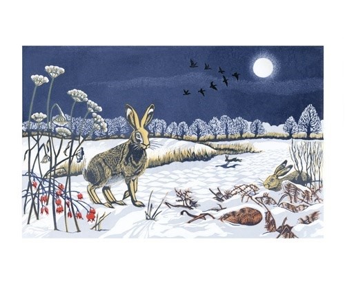 'Winter Hares' by Niki Bowers (A677w) 