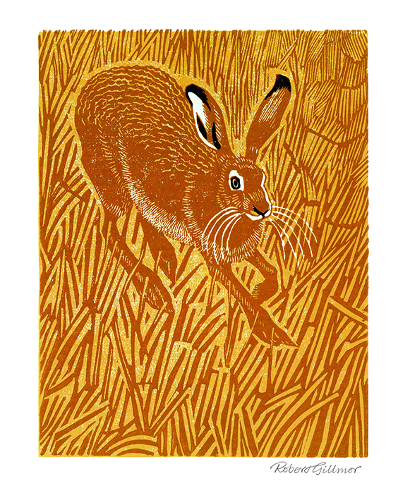 'Stubble Hare' by Robert Gillmor (V087) 