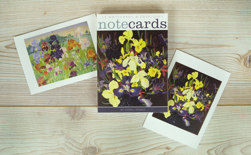 Cedric Morris Notelets (Group of Irises / Several Inventions) (AN019)