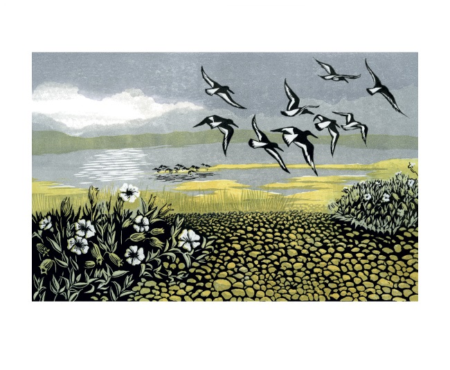 'Blakeney Oystercatchers' by Niki Bowers (A862) *