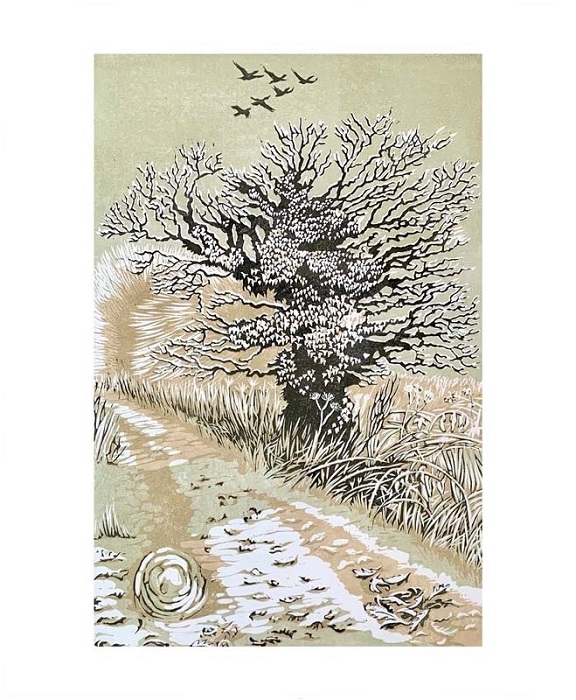 'Frosted Oak' by Niki Bowers (A021w) NEW 
