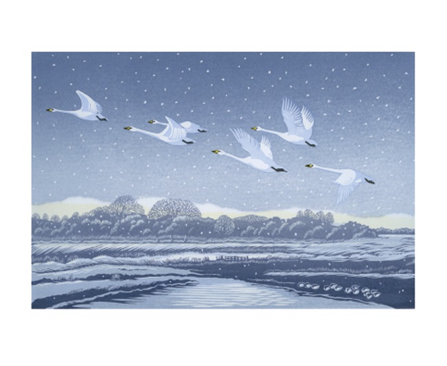 'Snow Flight' by Niki Bowers (A847w) 