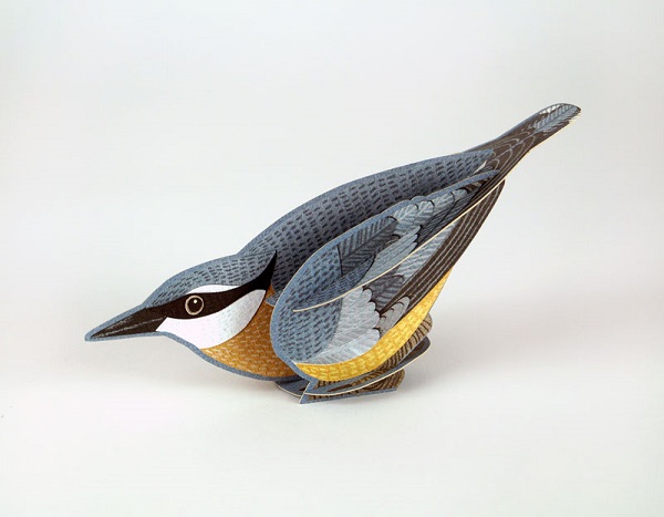 'Pop-Out Nuthatch' Die-cut art card by Alice Melvin 