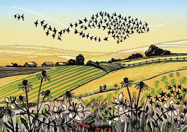 'Over the Fields' by Rob Barnes (R293) * 