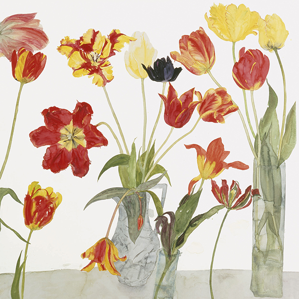 'Parrot Tulips' by Elizabeth Blackadder RA (C412) 