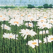 Phil Greenwood