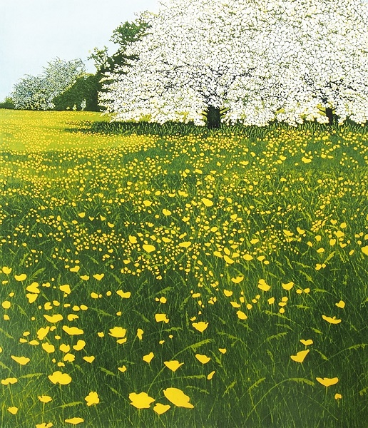 'May' by Phil Greenwood (B588)