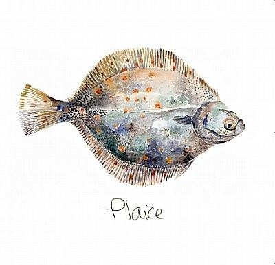 'Plaice' by Angie Horder (L022) d Was £2.95, now £1.75