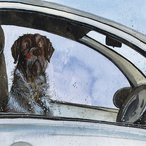 'Pointer' by Alex Clark (E164d) Was 2.50, now 1.45