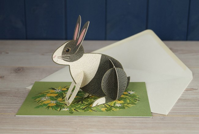 'Pop-Out Rabbit' Die-cut art card by Alice Melvin 