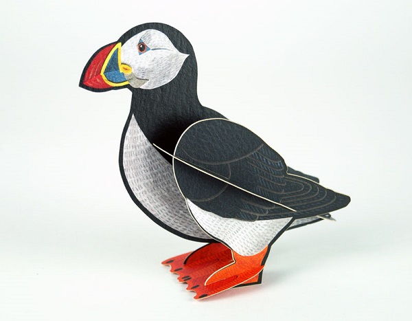 'Pop-Out Puffin' Die-cut art card by Alice Melvin (AP017) d