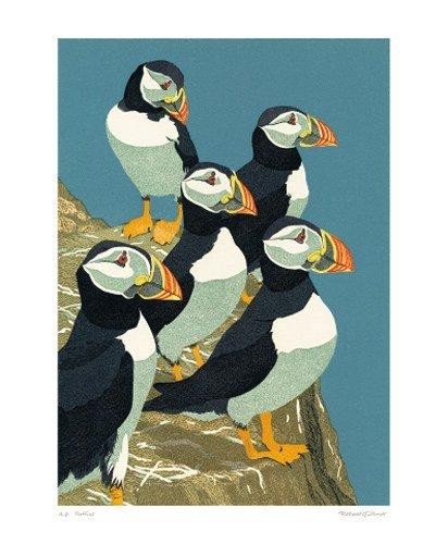 'Puffins' by Robert Gillmor (A432) * 