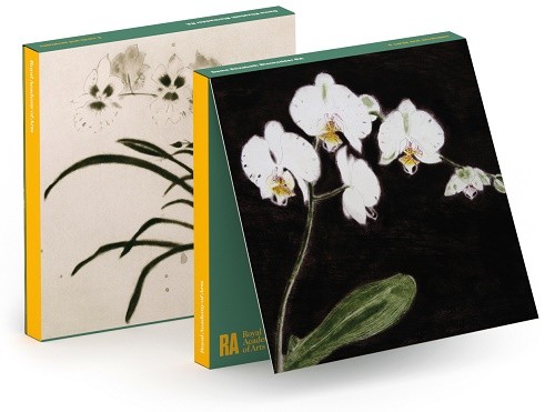 'Notecard Wallet' 3 x 2 designs ('Orchid Miltonia' / 'Orchidaceae-Phalaenopsis Antartica') by Elizabeth Blackadder RA (CN018)