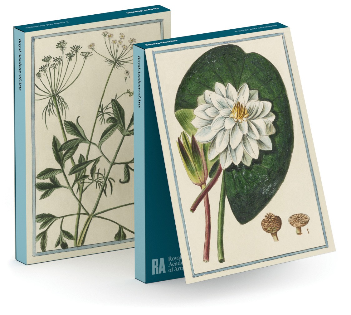 'Notecard Wallet' 3 x 2 designs ('European White Waterlily, 1776' / 'Bishop's Flowers', 1778) by Cesare Ubertini 