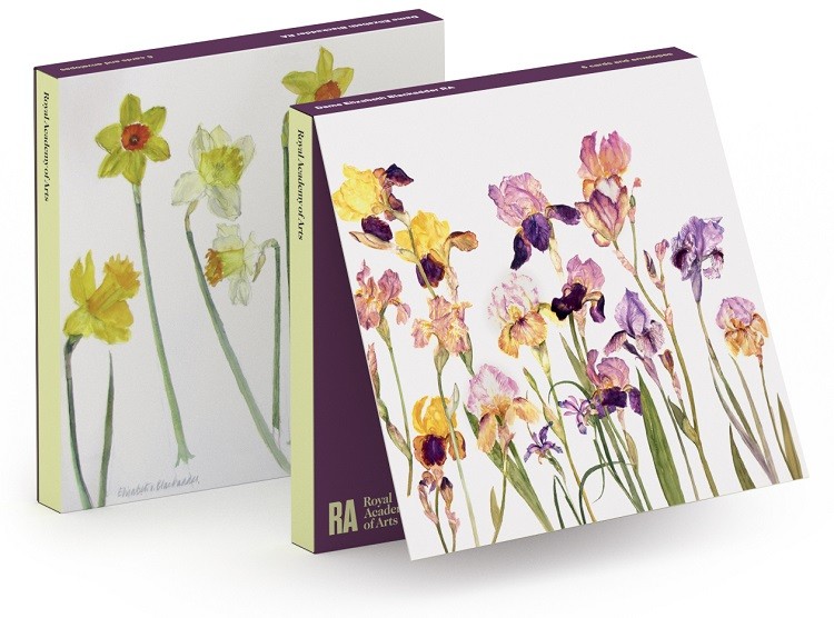 'Notecard Wallet' 3 x 2 designs by Elizabeth Blackadder RA (Irises/Daffodils)