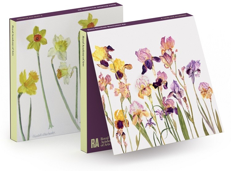 'Notecard Wallet' 3 x 2 designs by Elizabeth Blackadder RA (Irises/Daffodils) (CN017)