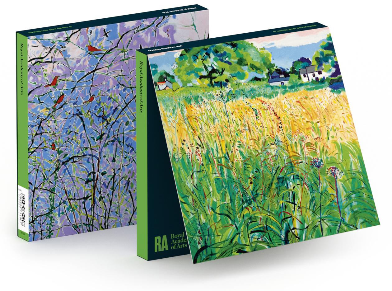 'Notecard Wallet' 3 x 2 designs by Philip Sutton RA (Manorbier Villa / Magic in Wales)