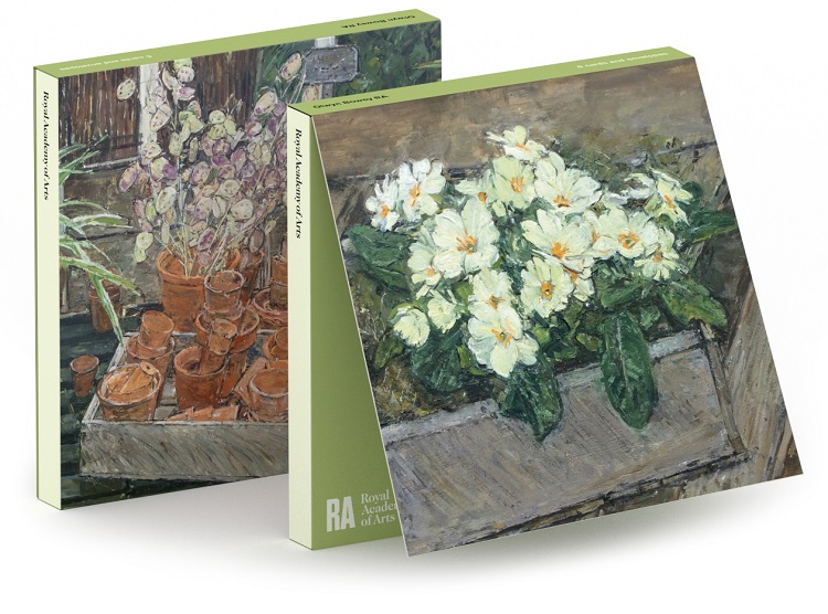 'Notecard Wallet' 3 x 2 designs by Olwyn Bowey RA (Primroses in Seed Box, 2015 / Terracotta Plant Pots and Honesty, 2015) (CN041)